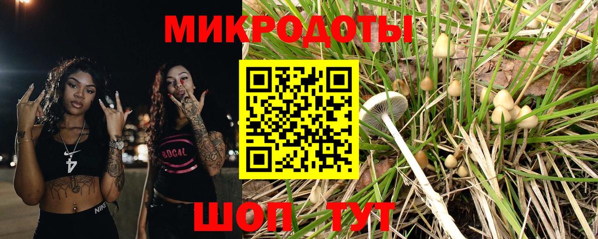 Фурманов  Галлюциногенные грибы Psilocybine cubensis  Вход с VPN 