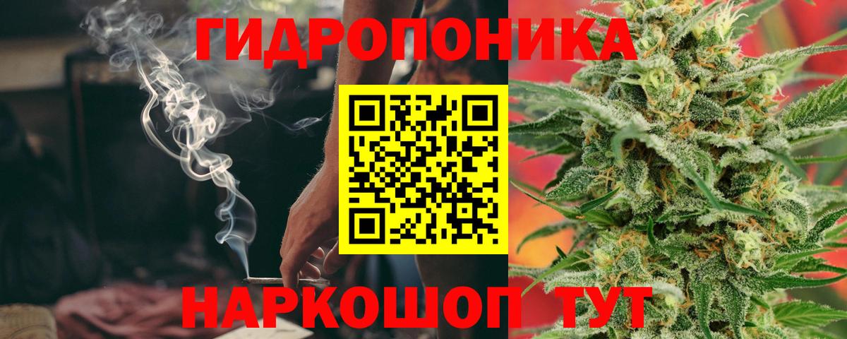 МАРИХУАНА конопля Фурманов
